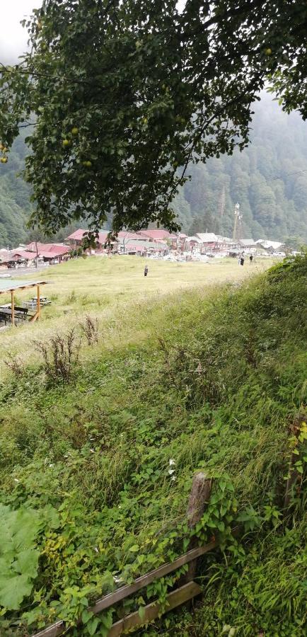 Villa Zafran Ayder Yaylasi Exteriör bild
