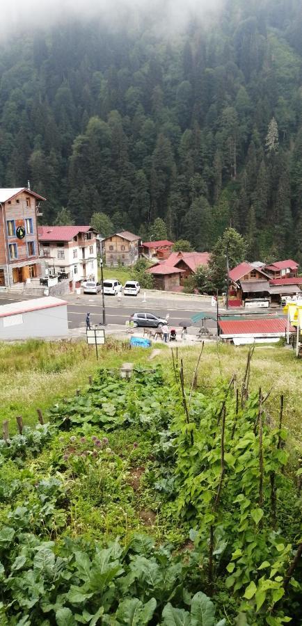 Villa Zafran Ayder Yaylasi Exteriör bild