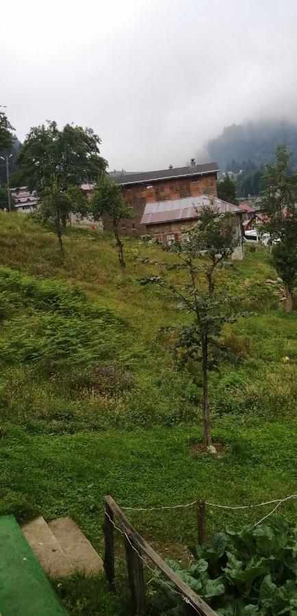 Villa Zafran Ayder Yaylasi Exteriör bild