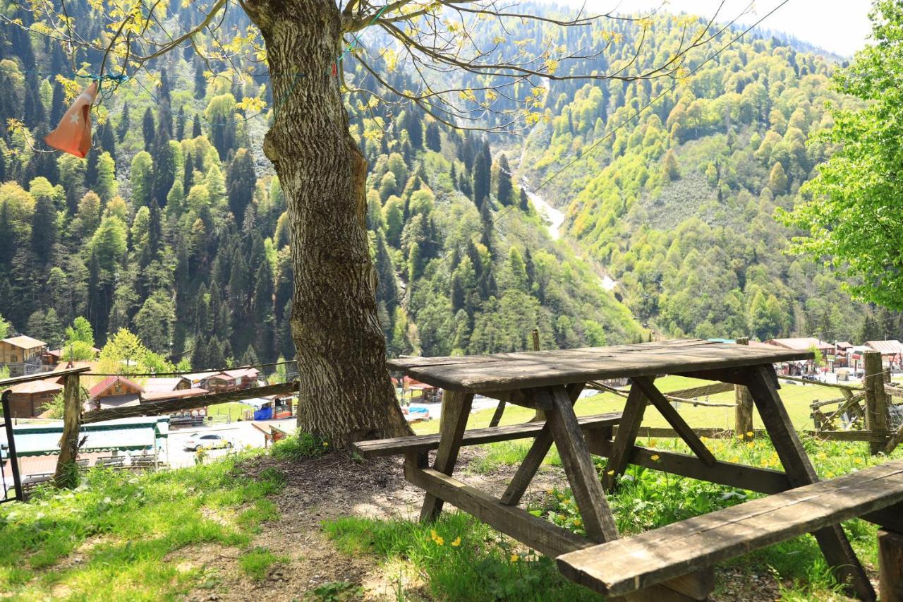 Villa Zafran Ayder Yaylasi Exteriör bild