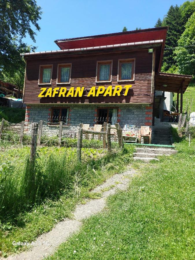 Villa Zafran Ayder Yaylasi Exteriör bild