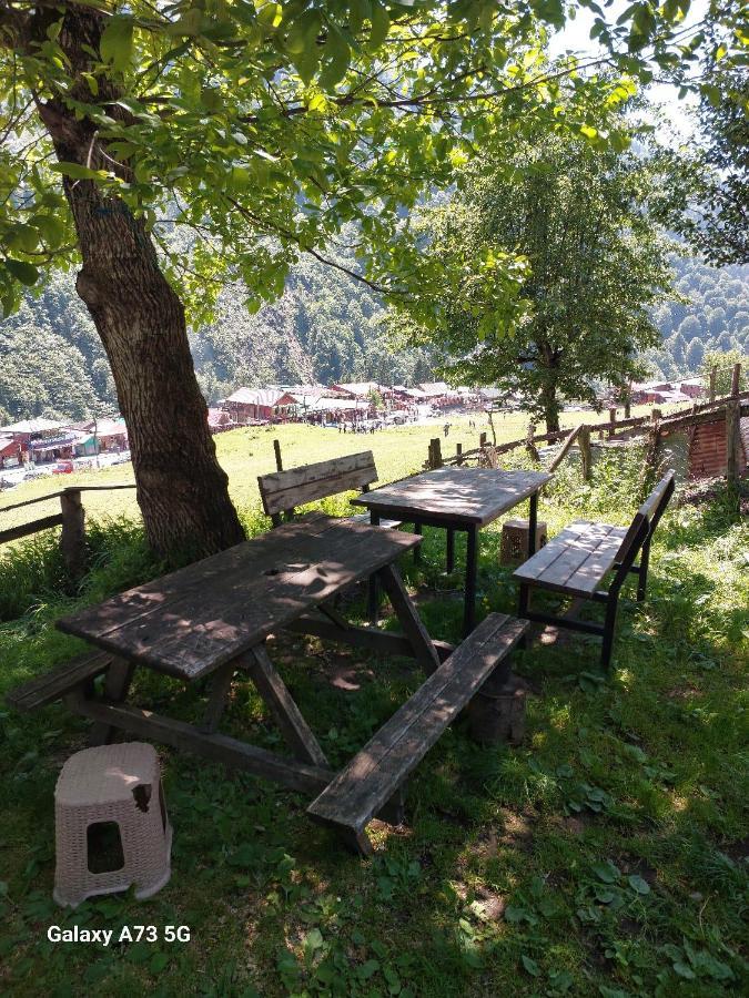 Villa Zafran Ayder Yaylasi Exteriör bild