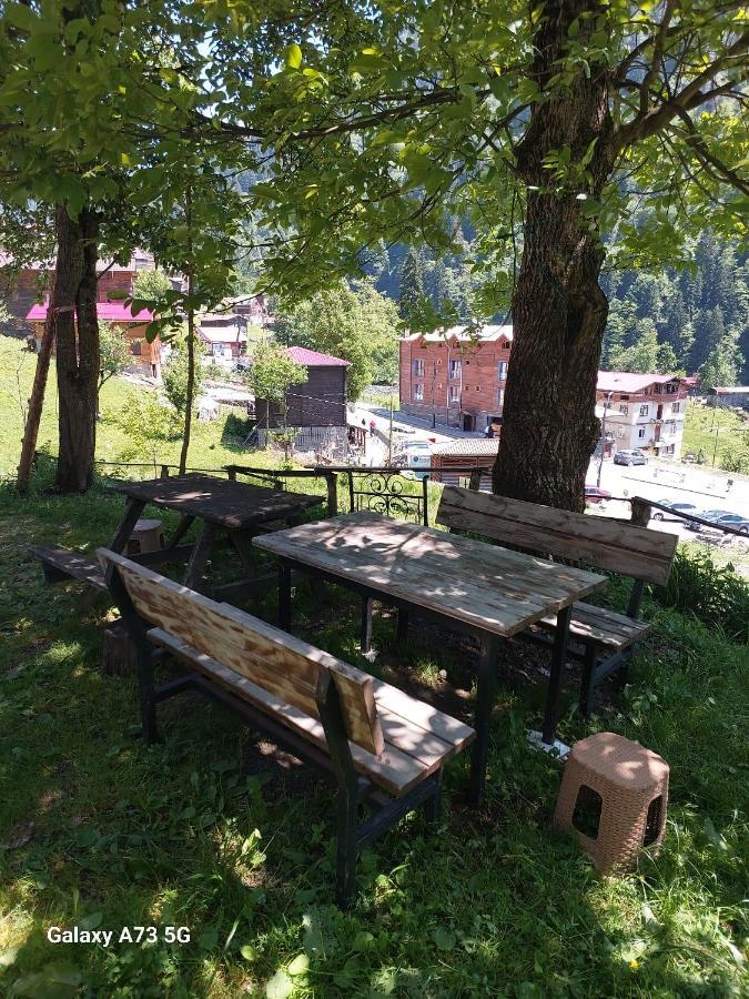 Villa Zafran Ayder Yaylasi Exteriör bild
