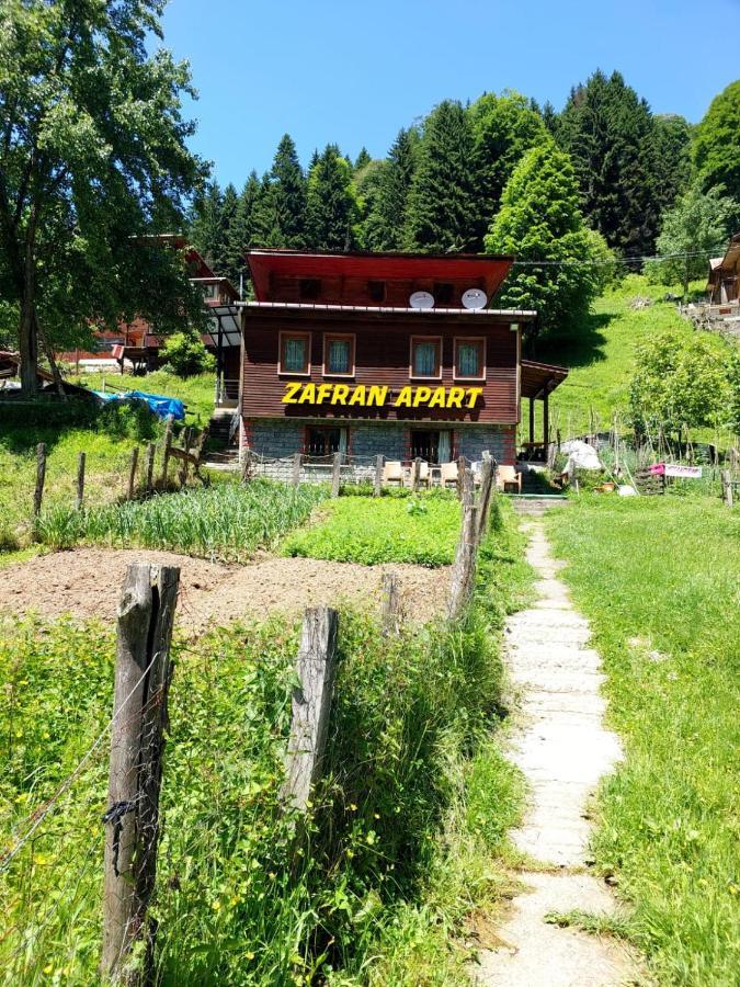 Villa Zafran Ayder Yaylasi Exteriör bild