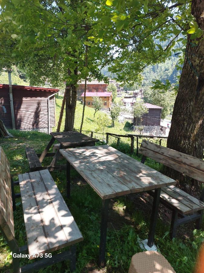 Villa Zafran Ayder Yaylasi Exteriör bild