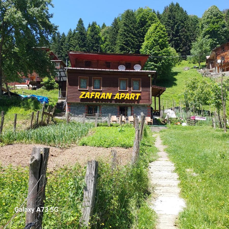 Villa Zafran Ayder Yaylasi Exteriör bild